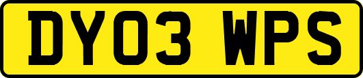 DY03WPS