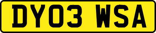 DY03WSA