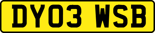 DY03WSB