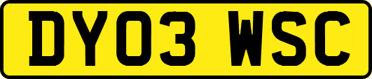 DY03WSC
