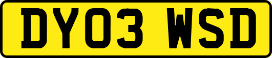 DY03WSD