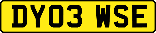 DY03WSE