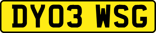 DY03WSG