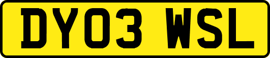 DY03WSL