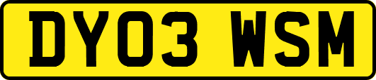 DY03WSM
