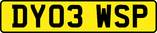 DY03WSP