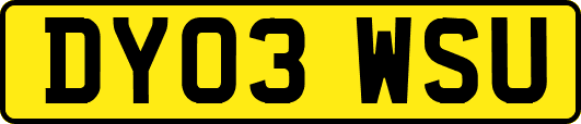 DY03WSU