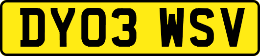 DY03WSV