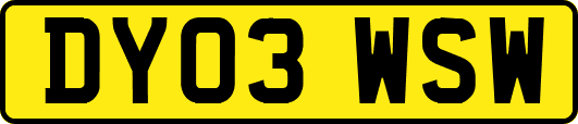DY03WSW