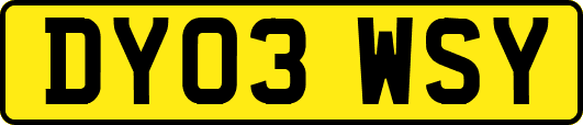 DY03WSY