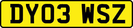 DY03WSZ