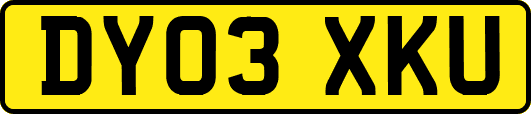 DY03XKU