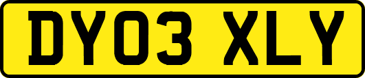 DY03XLY