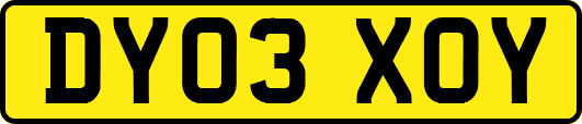 DY03XOY