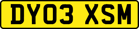 DY03XSM
