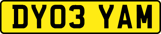 DY03YAM
