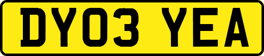 DY03YEA