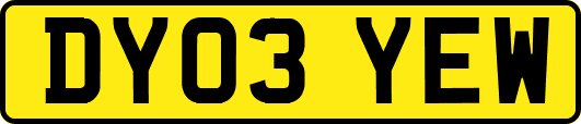 DY03YEW