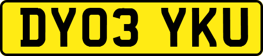 DY03YKU