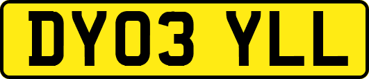 DY03YLL