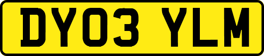 DY03YLM
