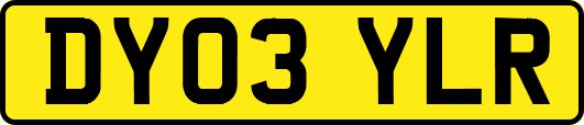 DY03YLR