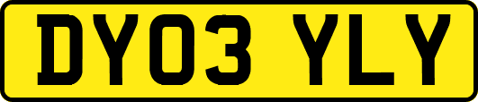 DY03YLY