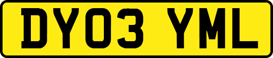 DY03YML