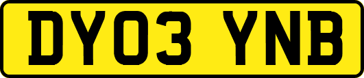DY03YNB