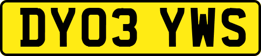 DY03YWS