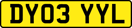 DY03YYL