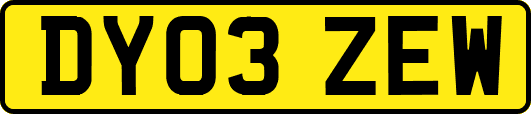 DY03ZEW