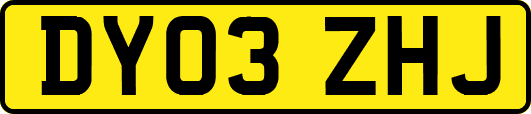 DY03ZHJ