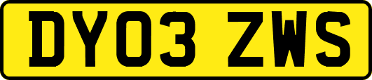DY03ZWS