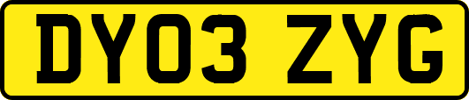 DY03ZYG