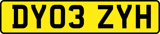 DY03ZYH