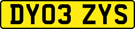 DY03ZYS