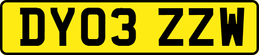 DY03ZZW