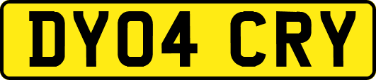 DY04CRY
