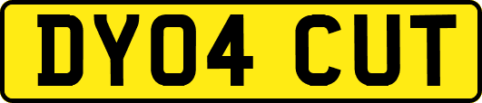 DY04CUT