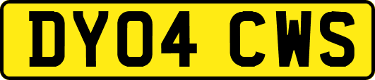 DY04CWS