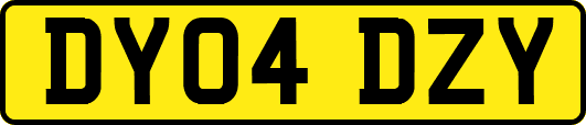 DY04DZY