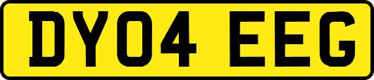 DY04EEG