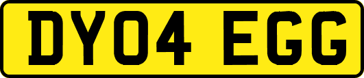 DY04EGG