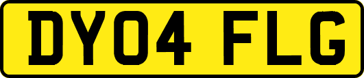 DY04FLG