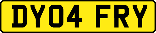 DY04FRY