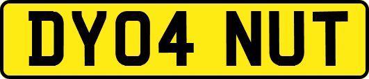 DY04NUT