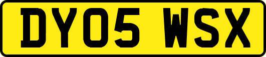 DY05WSX