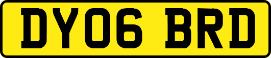 DY06BRD