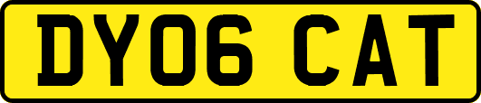 DY06CAT
